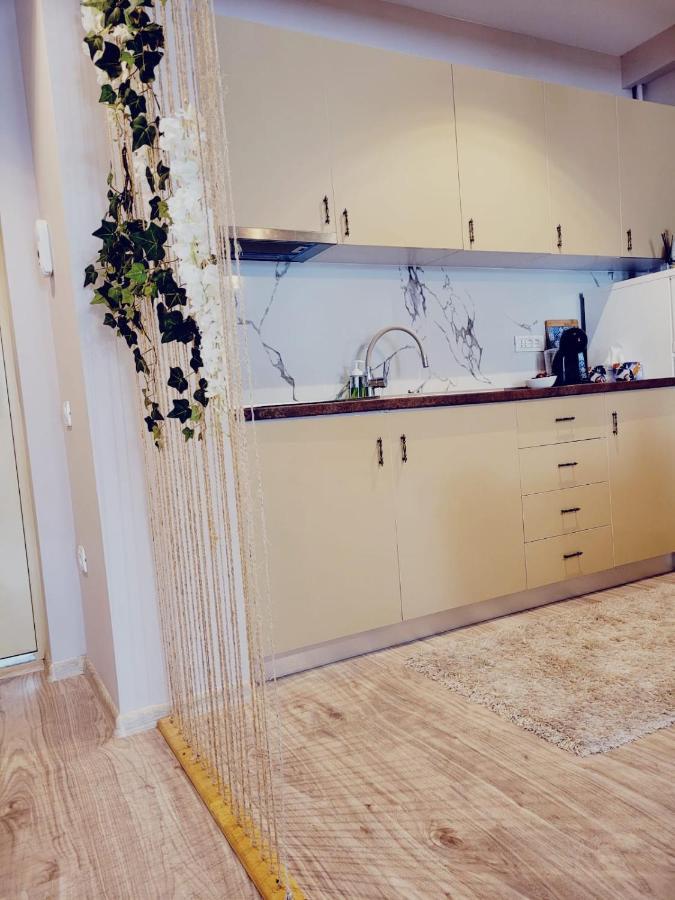 Vega Apartment By Moonlight Mamaia Exterior foto